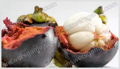 Ich liebe Kreuzworträtsel 2 Ebene 24 Kreuzworträtsel 4