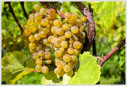 Ich liebe Kreuzworträtsel 2 Ebene 26 Kreuzworträtsel 5