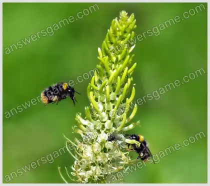 Ich liebe Kreuzworträtsel 2 Ebene 26 Kreuzworträtsel 7