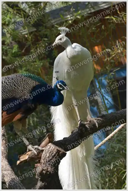 J'aime les mots croisés 2 Niveau 28 Mots croisés 5