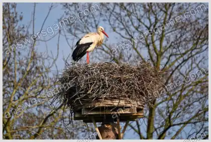 J'aime les mots croisés 2 Niveau 28 Mots croisés 8
