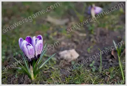 I Love Crosswords 2 Level 29 Crossword 5