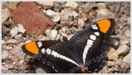 J'aime les mots croisés 2 Niveau 30 Mots croisés 10