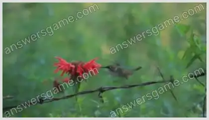 J'aime les mots croisés 2 Niveau 31 Mots croisés 10