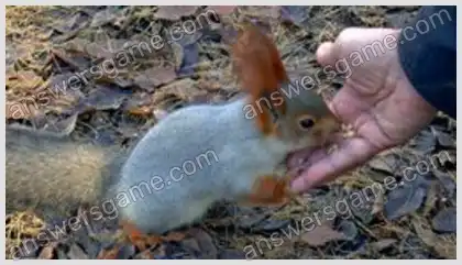 I Love Crosswords 2 Level 33 Crossword 10