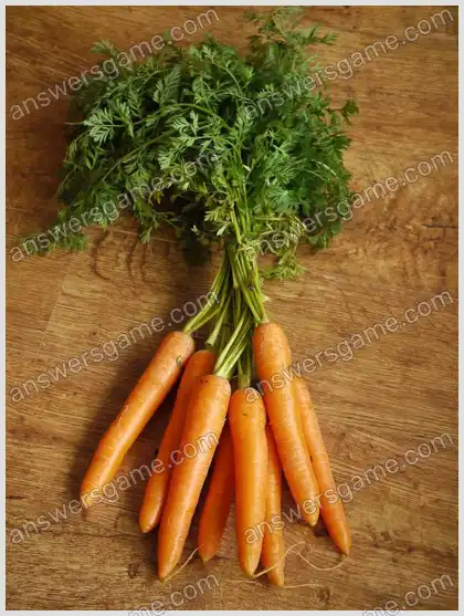 I Love Crosswords 2 Level 33 Crossword 7