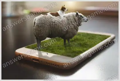 J'aime les mots croisés 2 Niveau 35 Mots croisés 4