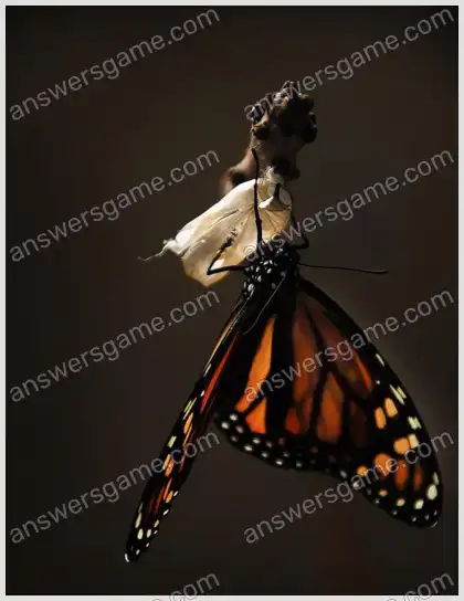 J'aime les mots croisés 2 Niveau 35 Mots croisés 5