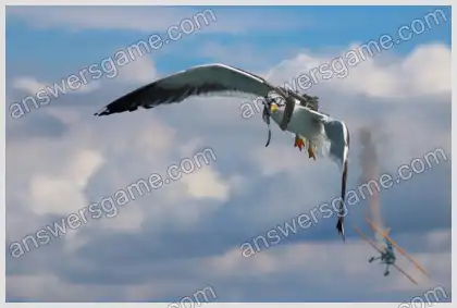 Ich liebe Kreuzworträtsel 2 Ebene 36 Kreuzworträtsel 4