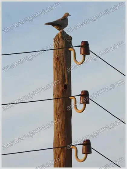 I Love Crosswords 2 Level 37 Crossword 7