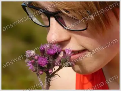 I Love Crosswords 2 Level 38 Crossword 5