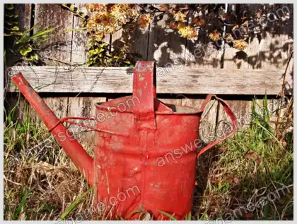 I Love Crosswords 2 Level 38 Crossword 7