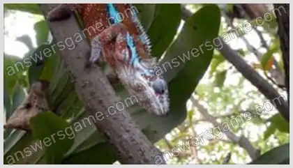 I Love Crosswords 2 Level 4 Crossword 10