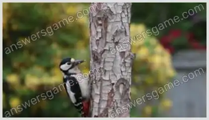 Ich liebe Kreuzworträtsel 2 Ebene 40 Kreuzworträtsel 10