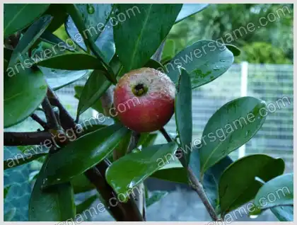 Ich liebe Kreuzworträtsel 2 Ebene 40 Kreuzworträtsel 2