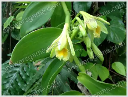 Ich liebe Kreuzworträtsel 2 Ebene 40 Kreuzworträtsel 5