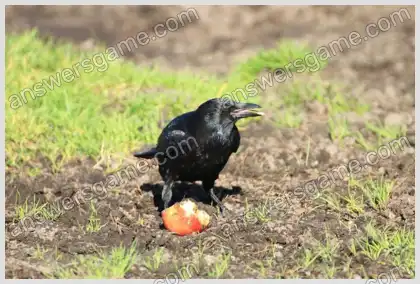 Ich liebe Kreuzworträtsel 2 Ebene 40 Kreuzworträtsel 8