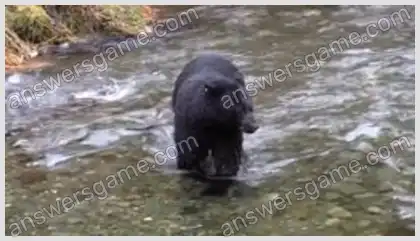 J'aime les mots croisés 2 Niveau 6 Mots croisés 10