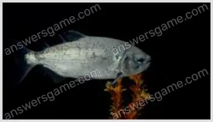 Ich liebe Kreuzworträtsel 2 Ebene 7 Kreuzworträtsel 10