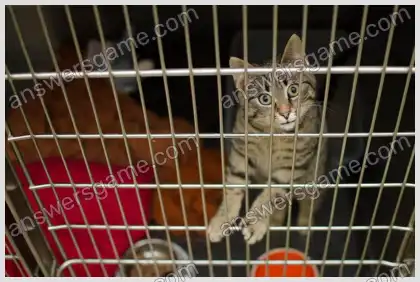 Ich liebe Kreuzworträtsel 2 Ebene 7 Kreuzworträtsel 8