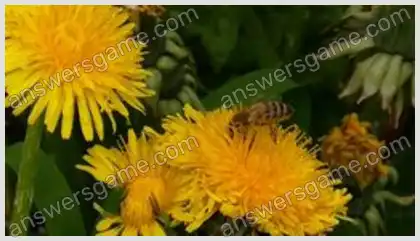 Ich liebe Kreuzworträtsel 2 Ebene 8 Kreuzworträtsel 10