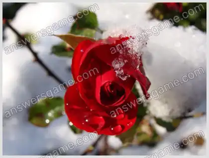 Ich liebe Kreuzworträtsel 2 Ebene 8 Kreuzworträtsel 2