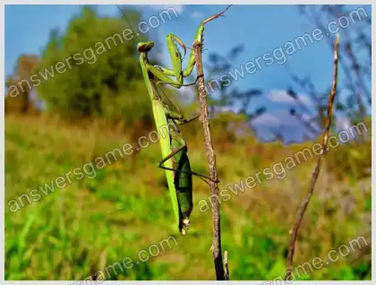 Ich liebe Kreuzworträtsel 2 Ebene 8 Kreuzworträtsel 4