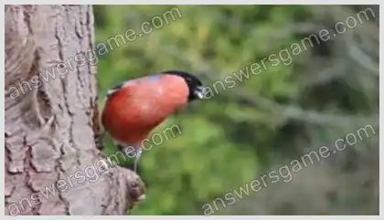 I Love Crosswords 2 Level 9 Crossword 10