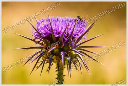 I Love Crosswords 2 Level 9 Crossword 8