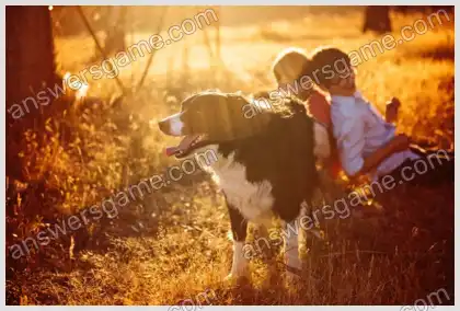 Ich liebe Kreuzworträtsel 3 Ebene 12 Kreuzworträtsel 9