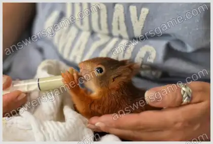 Ich liebe Kreuzworträtsel 3 Ebene 2 Kreuzworträtsel 5