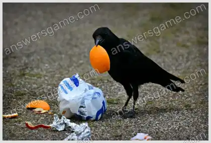 Ich liebe Kreuzworträtsel 3 Ebene 21 Kreuzworträtsel 9