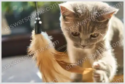 Ich liebe Kreuzworträtsel 3 Ebene 23 Kreuzworträtsel 9