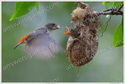 Ich liebe Kreuzworträtsel 3 Ebene 32 Kreuzworträtsel 3