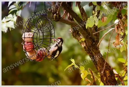 Ich liebe Kreuzworträtsel 3 Ebene 5 Kreuzworträtsel 1