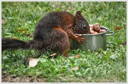 Ich liebe Kreuzworträtsel 3 Ebene 8 Kreuzworträtsel 3