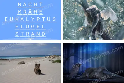 Mehrsilbig (Polysyllable) Ebene 1 Puzzle 10 Lösung