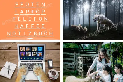 Mehrsilbig (Polysyllable) Ebene 10 Puzzle 7 Lösung