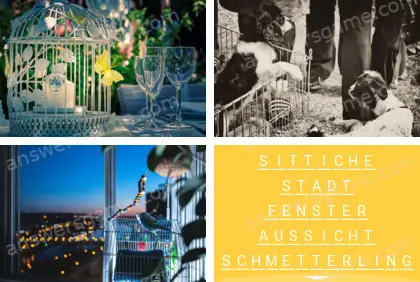 Mehrsilbig (Polysyllable) Ebene 10 Puzzle 3 Lösung