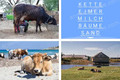 Mehrsilbig (Polysyllable) Ebene 11 Puzzle 6 Lösung