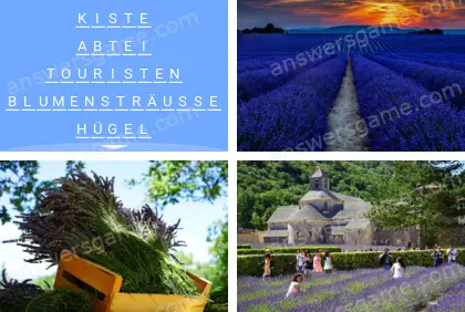 Mehrsilbig (Polysyllable) Ebene 11 Puzzle 5 Lösung