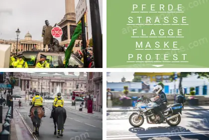 Mehrsilbig (Polysyllable) Ebene 12 Puzzle 3 Lösung