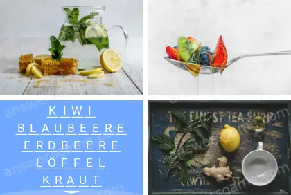 Mehrsilbig (Polysyllable) Ebene 13 Puzzle 9 Lösung