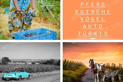 Mehrsilbig (Polysyllable) Ebene 14 Puzzle 4 Lösung