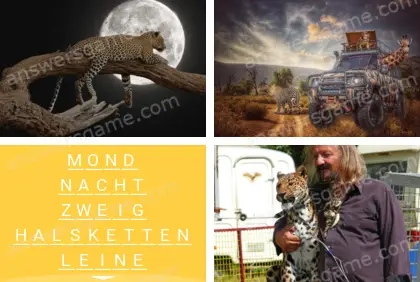 Mehrsilbig (Polysyllable) Ebene 15 Puzzle 8 Lösung