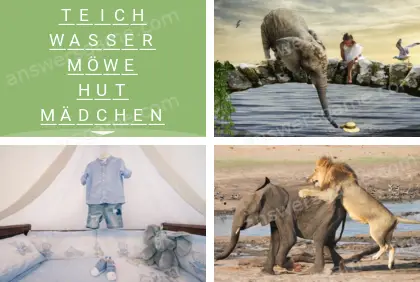 Mehrsilbig (Polysyllable) Ebene 15 Puzzle 6 Lösung