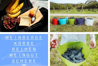 Mehrsilbig (Polysyllable) Ebene 15 Puzzle 5 Lösung