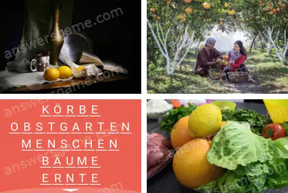 Mehrsilbig (Polysyllable) Ebene 17 Puzzle 9 Lösung