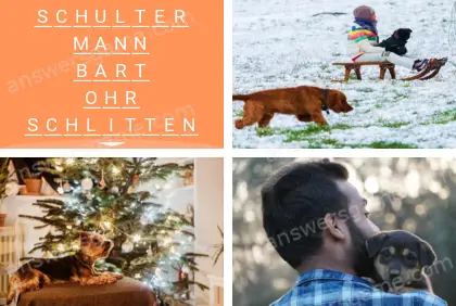 Mehrsilbig (Polysyllable) Ebene 17 Puzzle 7 Lösung