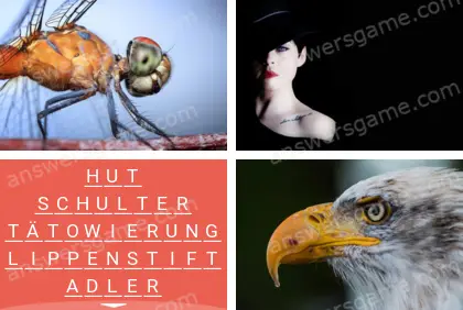 Mehrsilbig (Polysyllable) Ebene 17 Puzzle 10 Lösung